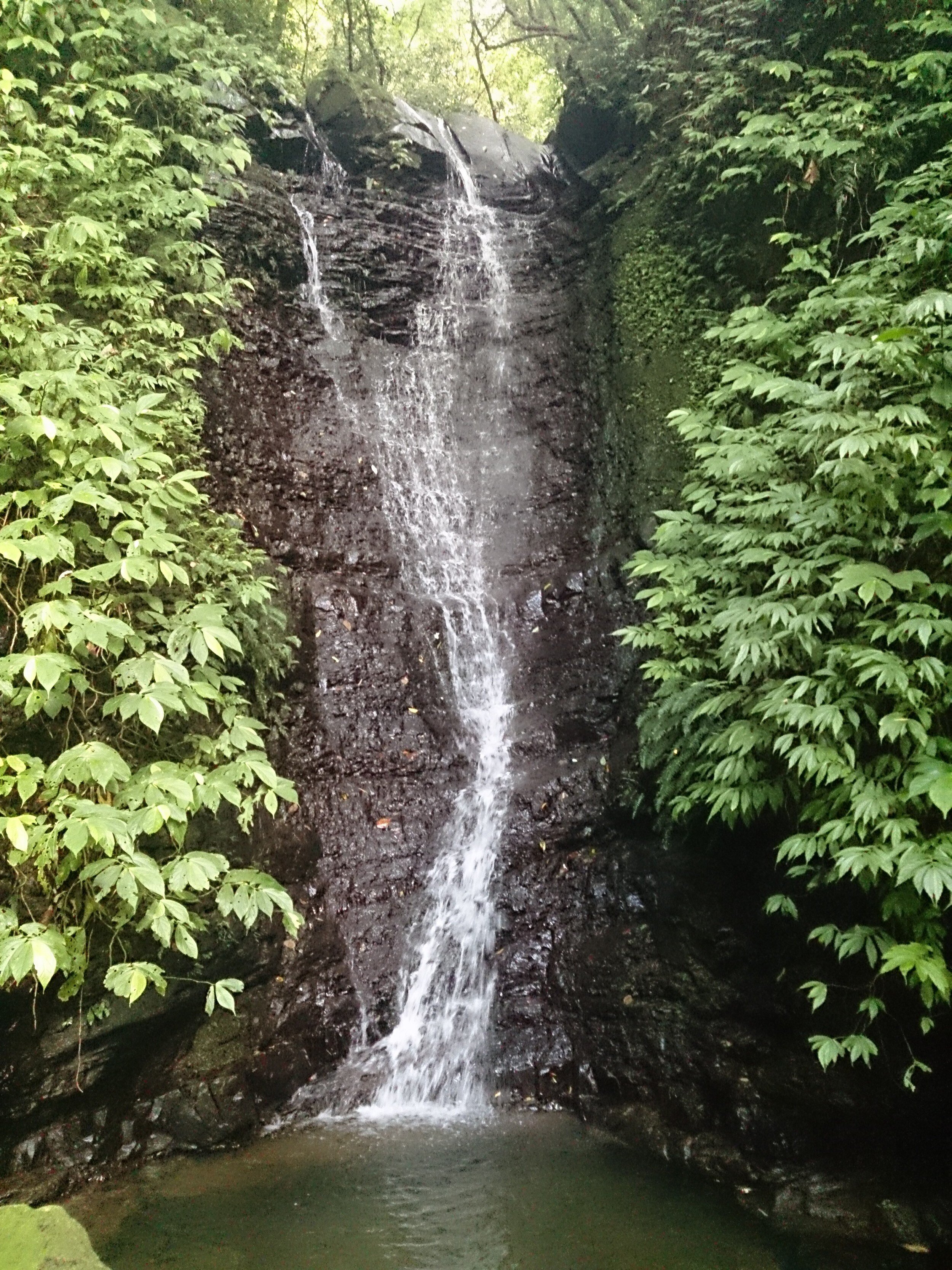 Dajianshan and Jiadong Waterfalls (茄苳瀑布, 大尖山瀑布) — Tom